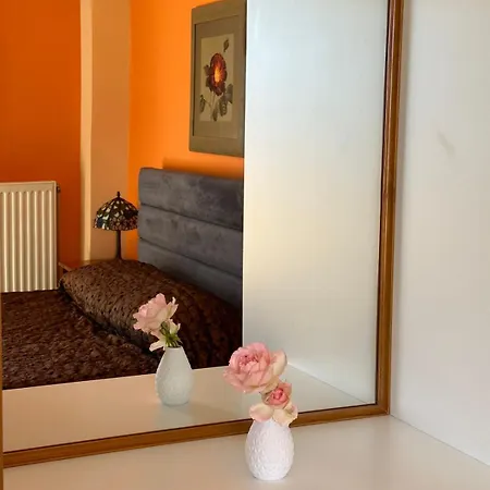 아파트호텔 Xenonas Drimos 3*