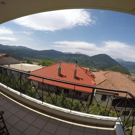 아파트호텔 Xenonas Drimos 카페니시온